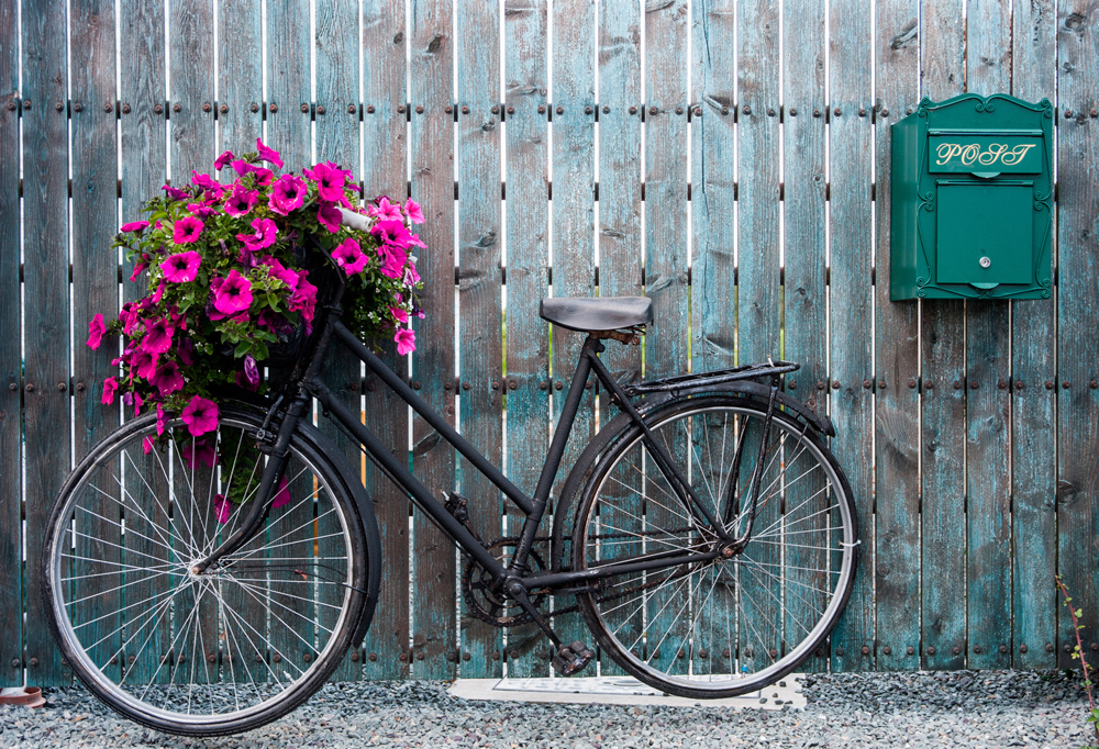 Akustikbild FAHRRAD BLUMENDEKO 80x120cm, 7kg