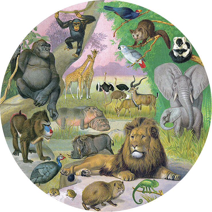 eeBoo eeBoo - Rundt puslespil 1000 brk - Afrika