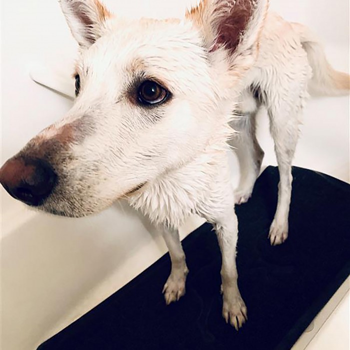 Tapis de bain