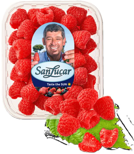 SanLucar Himbeeren, Schale