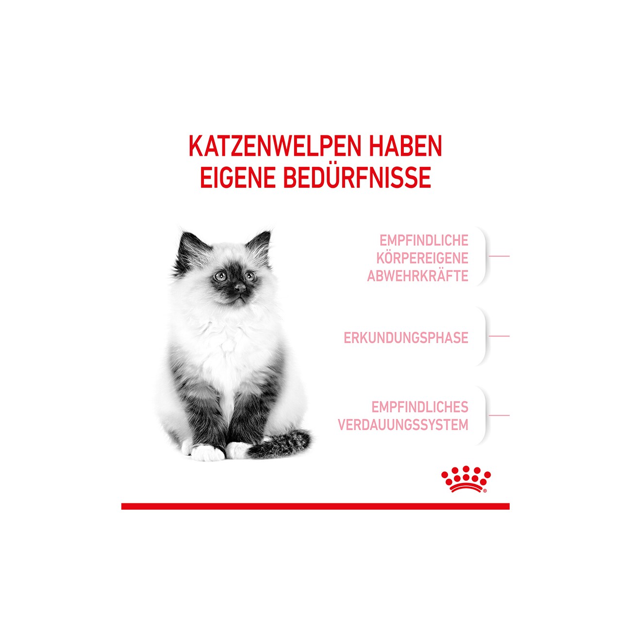 ROYAL CANIN Kitten 400 g
