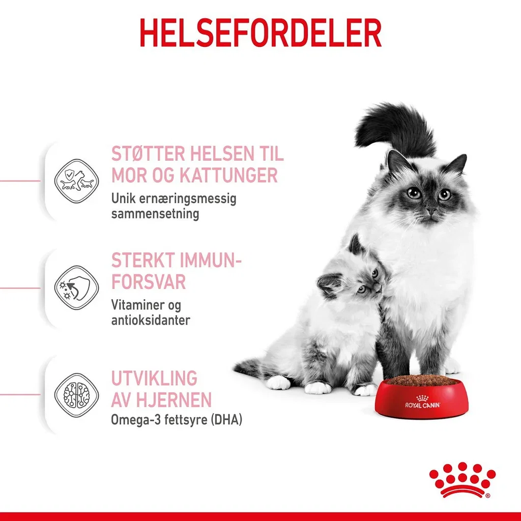 Royal Canin Royal Canin Mother & Babycat 4 kg