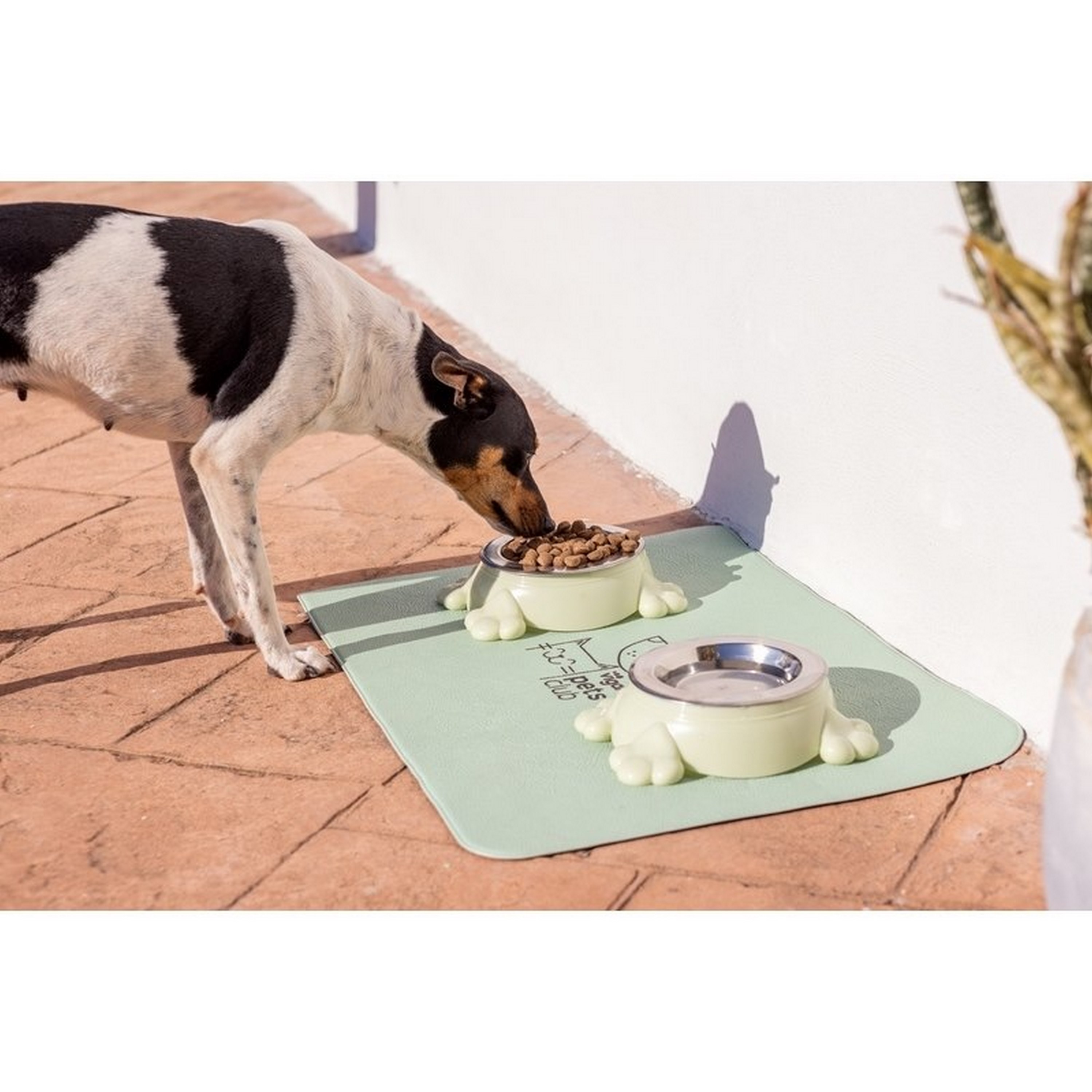 Alimentador pequeno Pets Club Paw