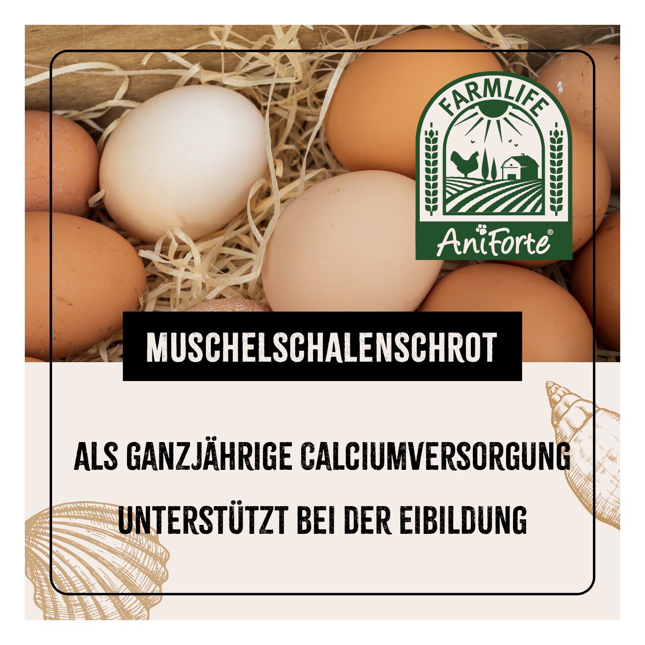 AniForte FarmLife Muschelgrit für Hühner 5kg