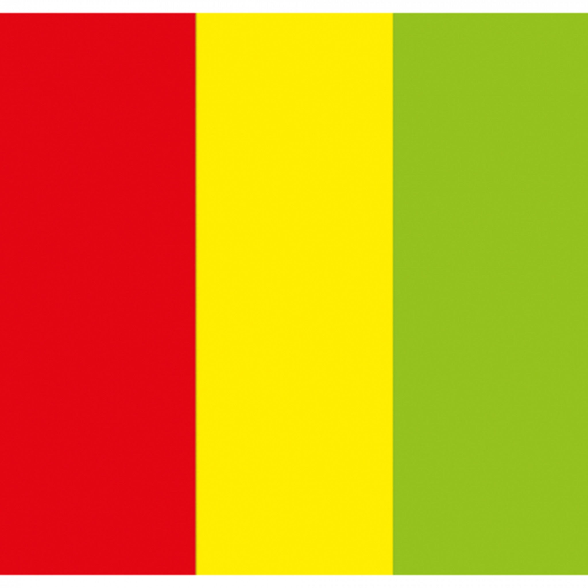 Showgear Electric Confetti Cannon 50 cm rood, geel en groen