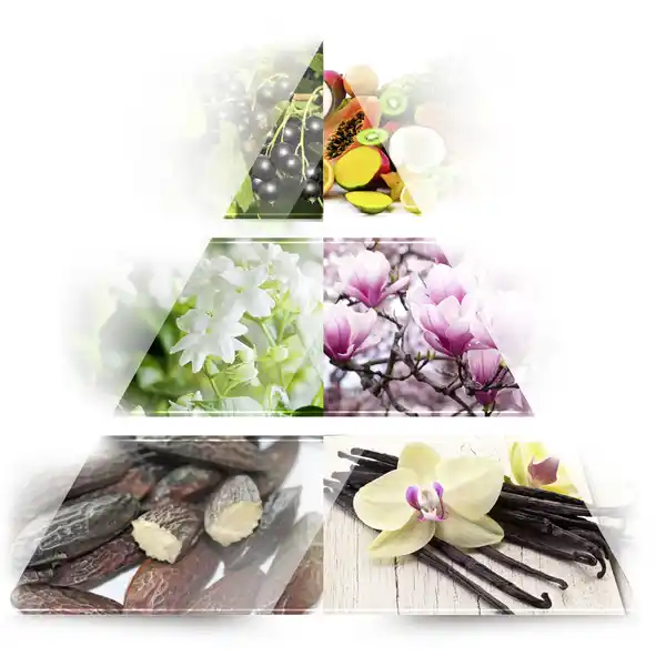 Miss Dream Geschenkset