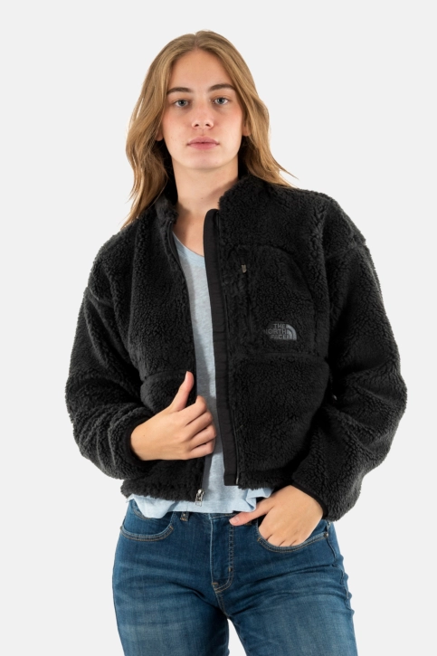 Blousons et vestes the north face extreme pile 2 jk31 tnf black