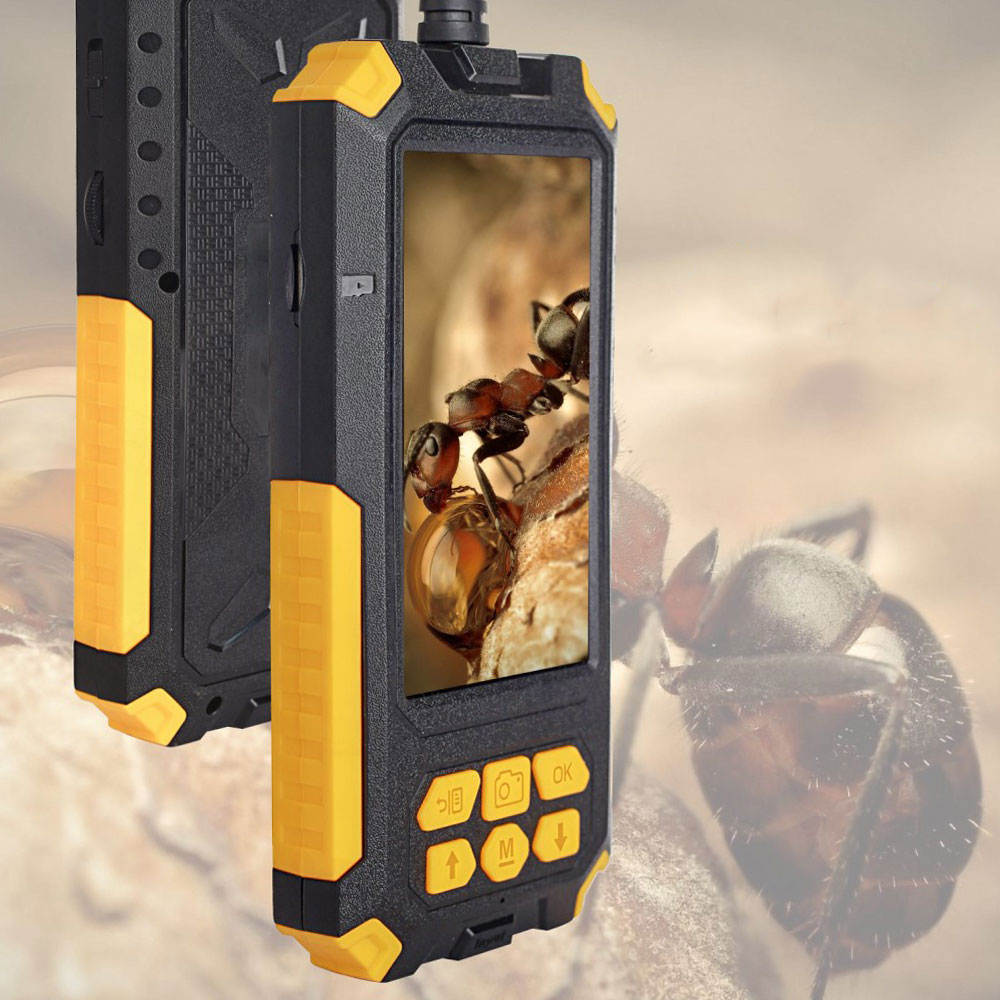 (5m) Wasserfeste Dual Lens Endoskopkamera mit 4.5