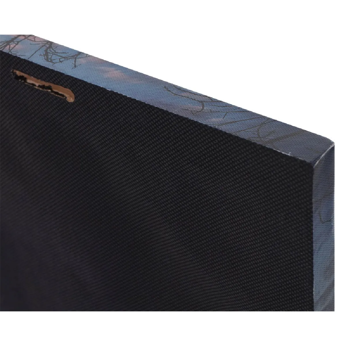 Decoshop26 Lot de 2 tableaux LED 40x60 cm