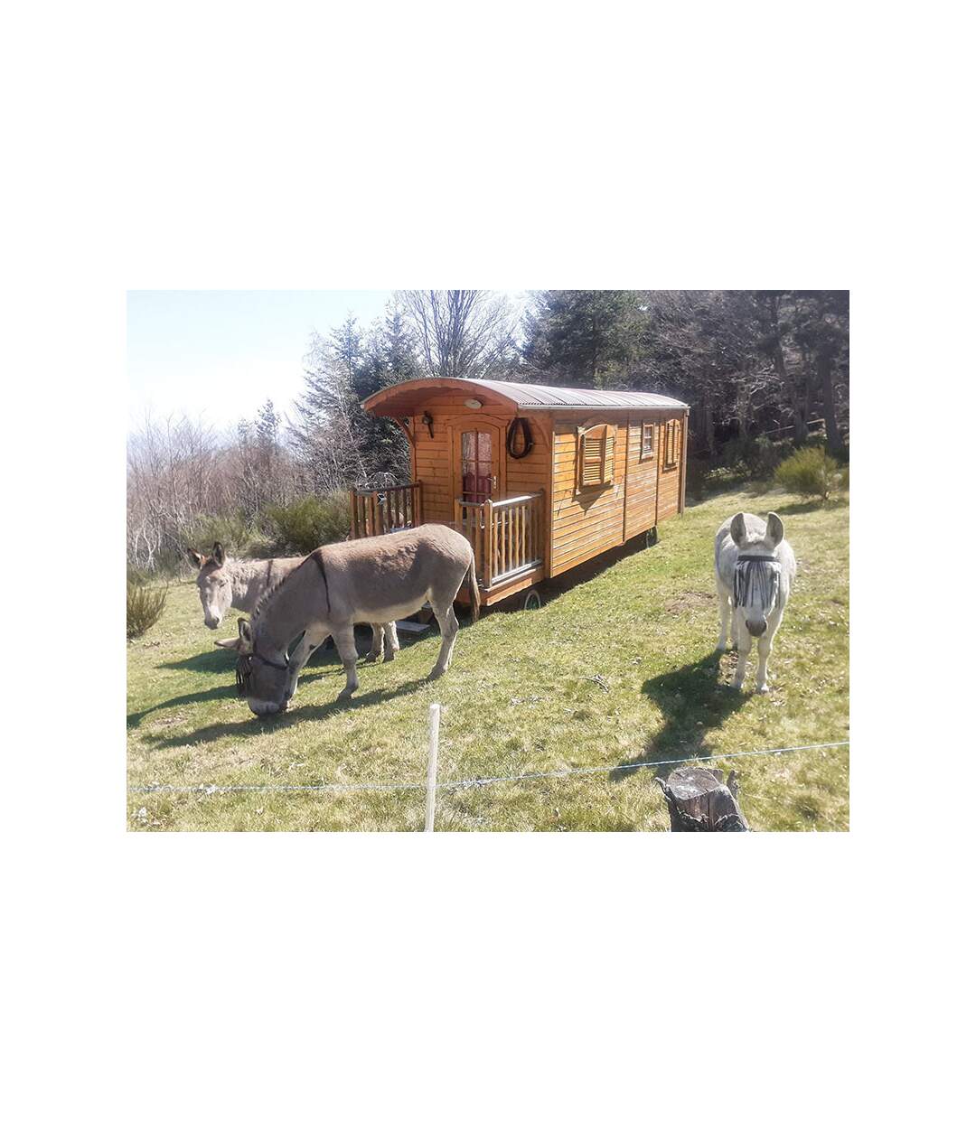 SMARTBOX - 2 jours en famille dans une roulotte d’une auberge au Parc régional du Pilat - Coffret Cadeau Séjour