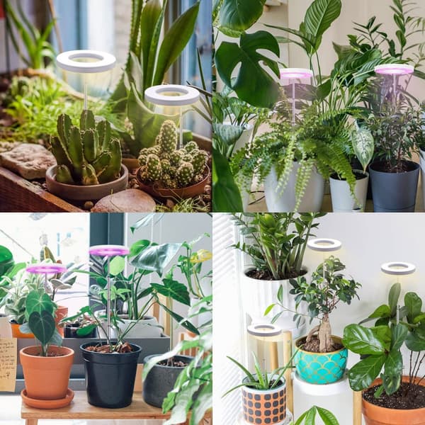 INF Plantebelysning for potteplanter varmhvitt / hvitt