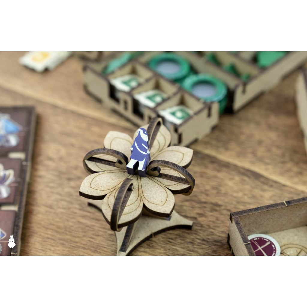Rangement pour Boîte Dicetroyers - Darwin's Journey
