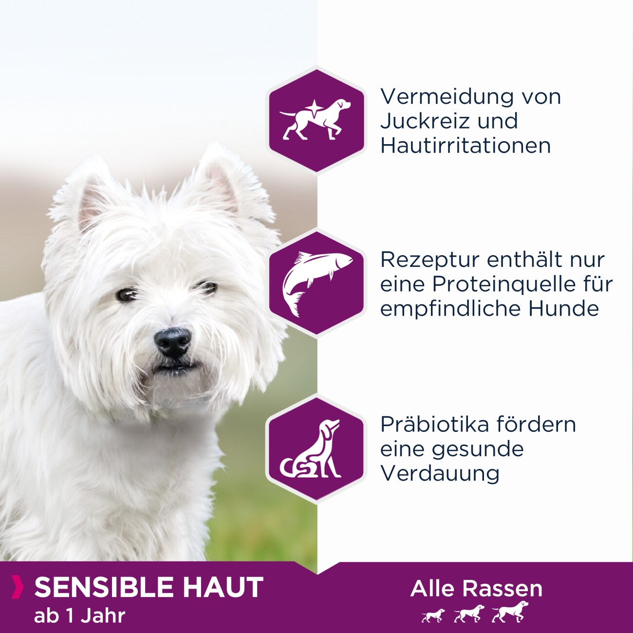 EUKANUBA Trockenfutter Hund Daily Care Sensible Haut Adult 12 kg
