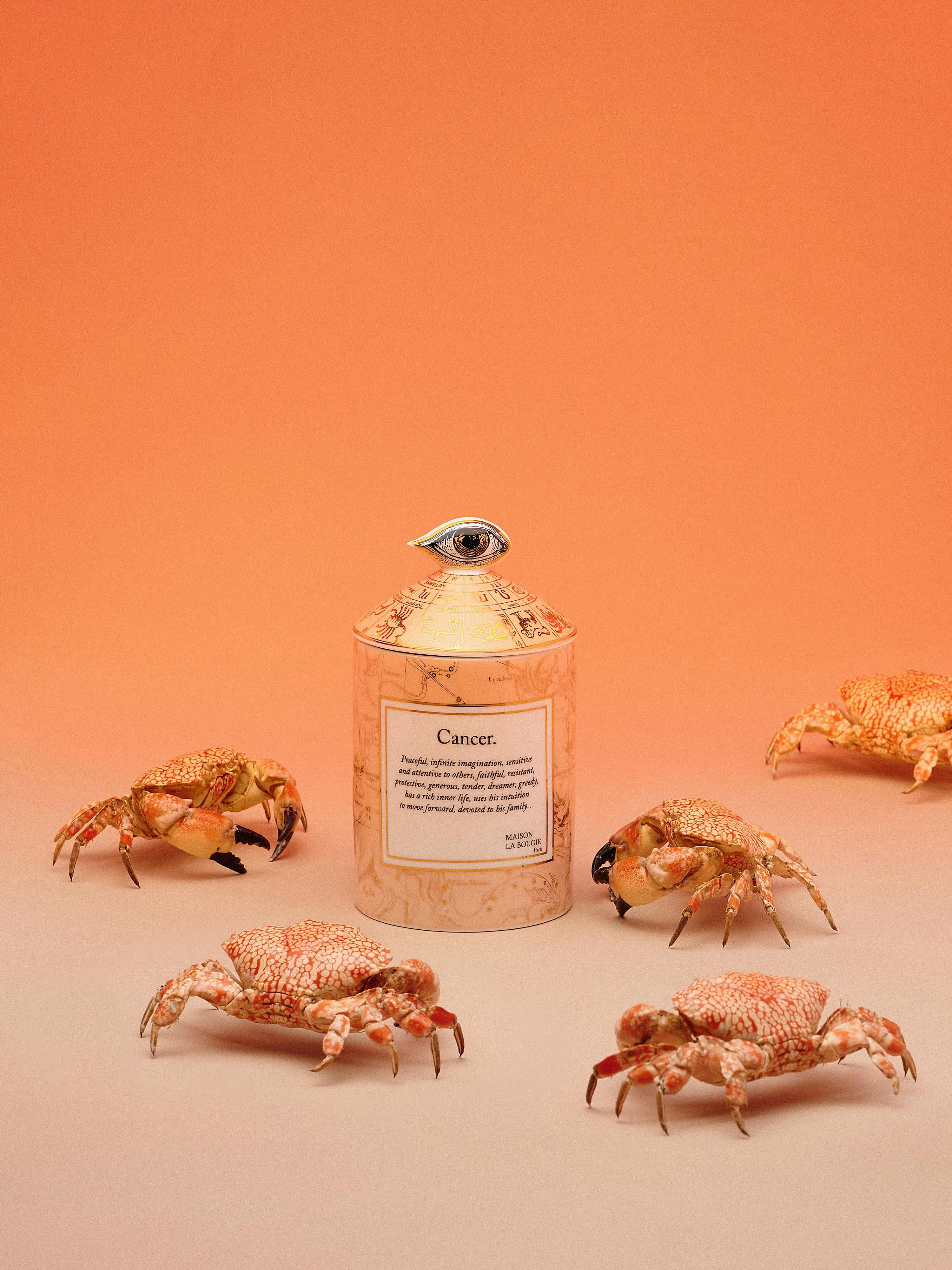 Handgemaakte geurkaars Cancer (bergamot & vetiver)