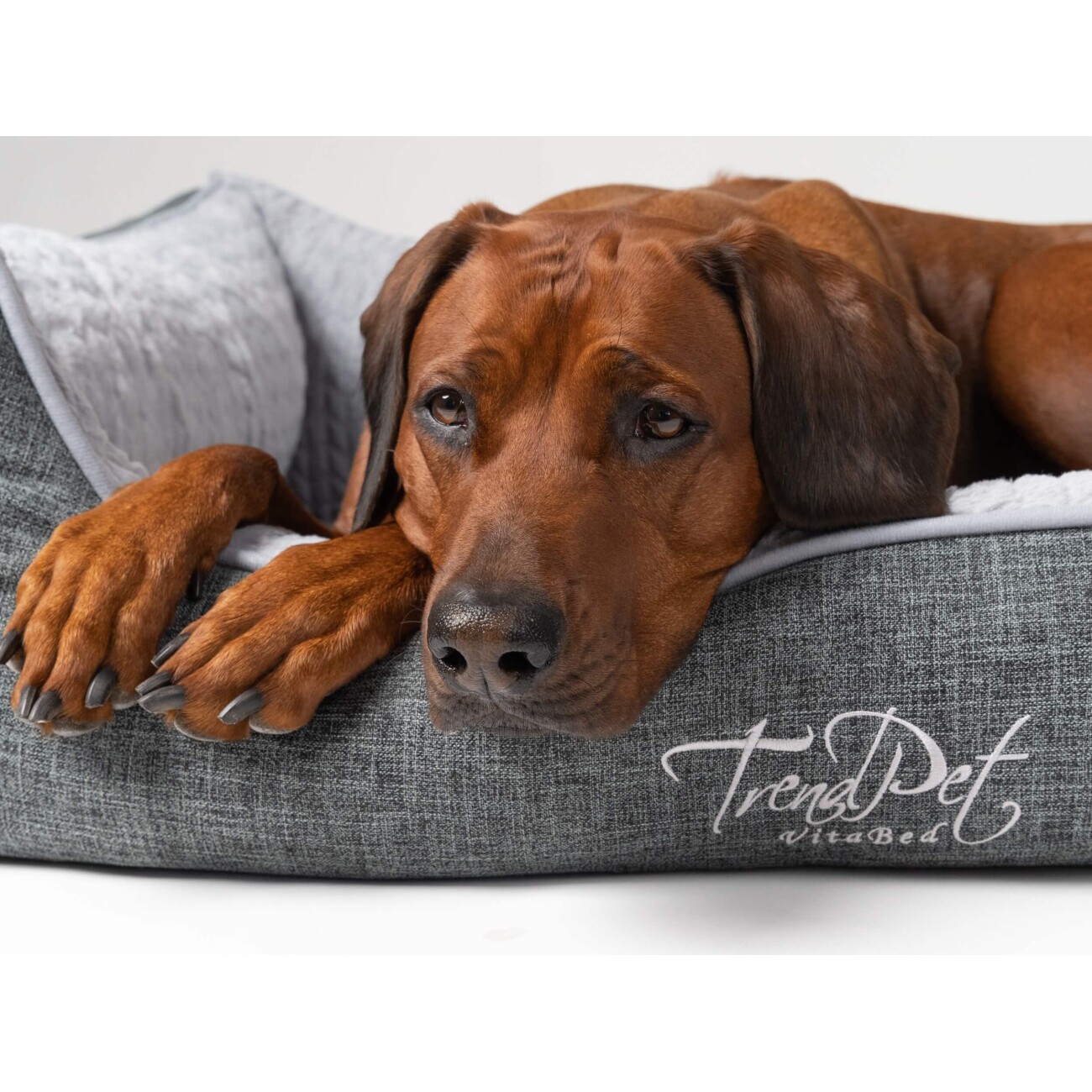 TrendPet VitaBed Classic orthopädisches Hundebett grau S