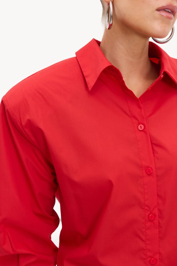 DESERT ROSE - RED