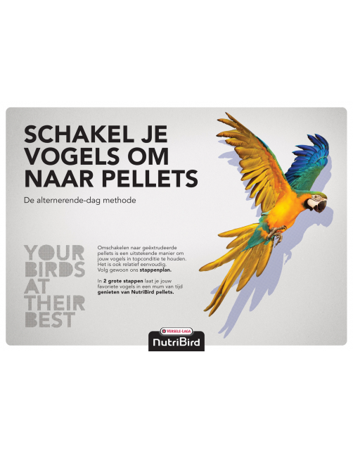 Versele-Laga Nutribird B14 Parkiet Onderhoudsvoer - Vogelvoer