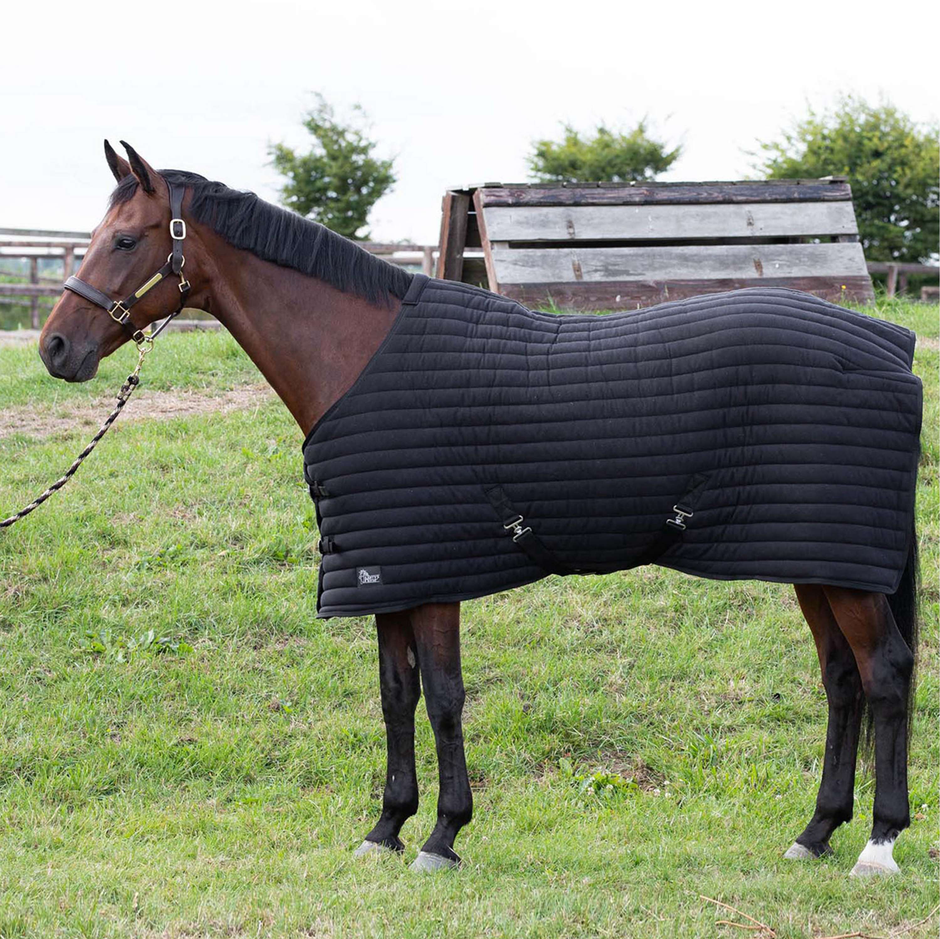 Harry's Horse Onderdeken Powerliner 200g Zwart