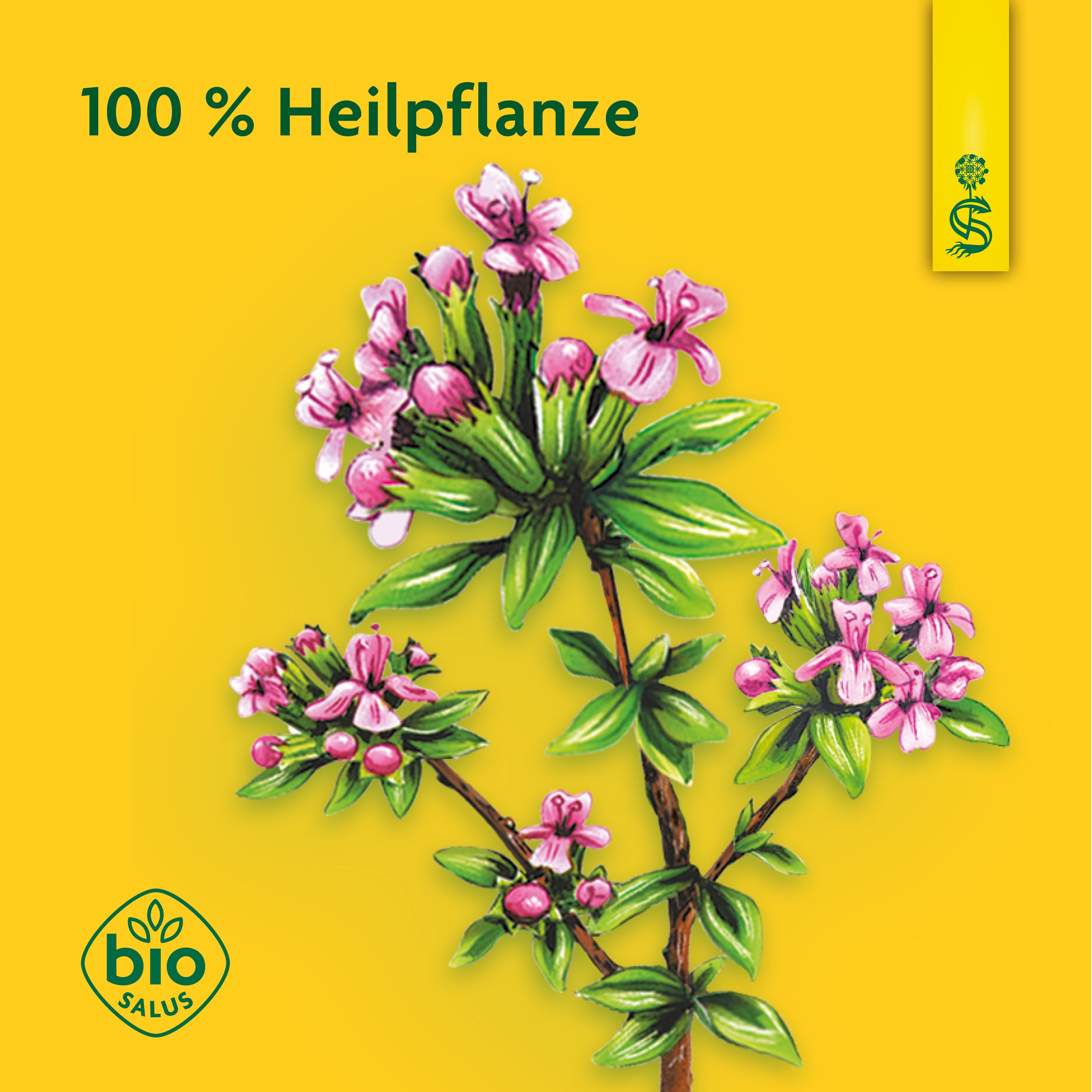 Schoenenberger® Heilpflanzensaft Thymian