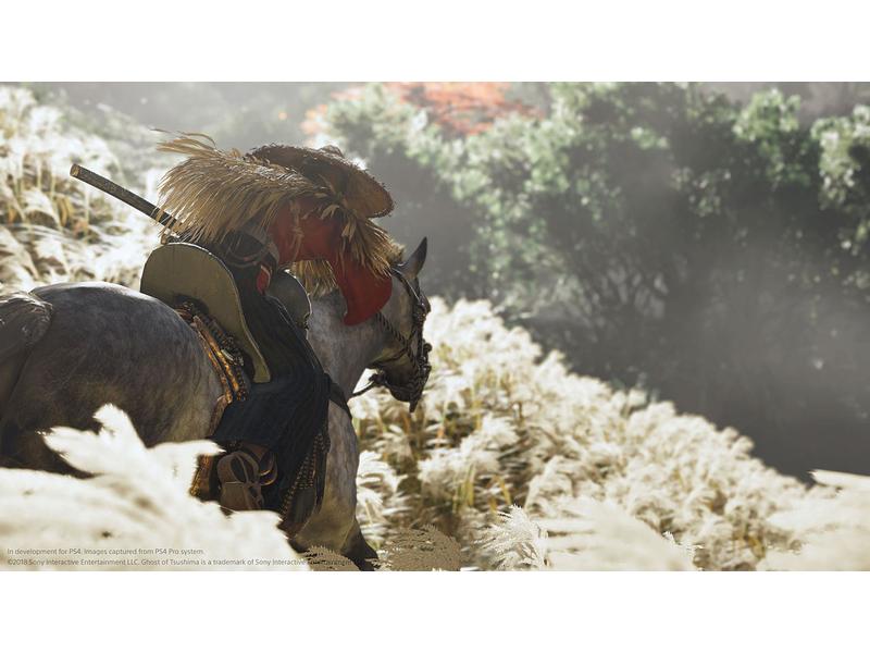 GAME Ghost of Tsushima: Director`s Cut In jeden Samurai Kampf teilnehmen