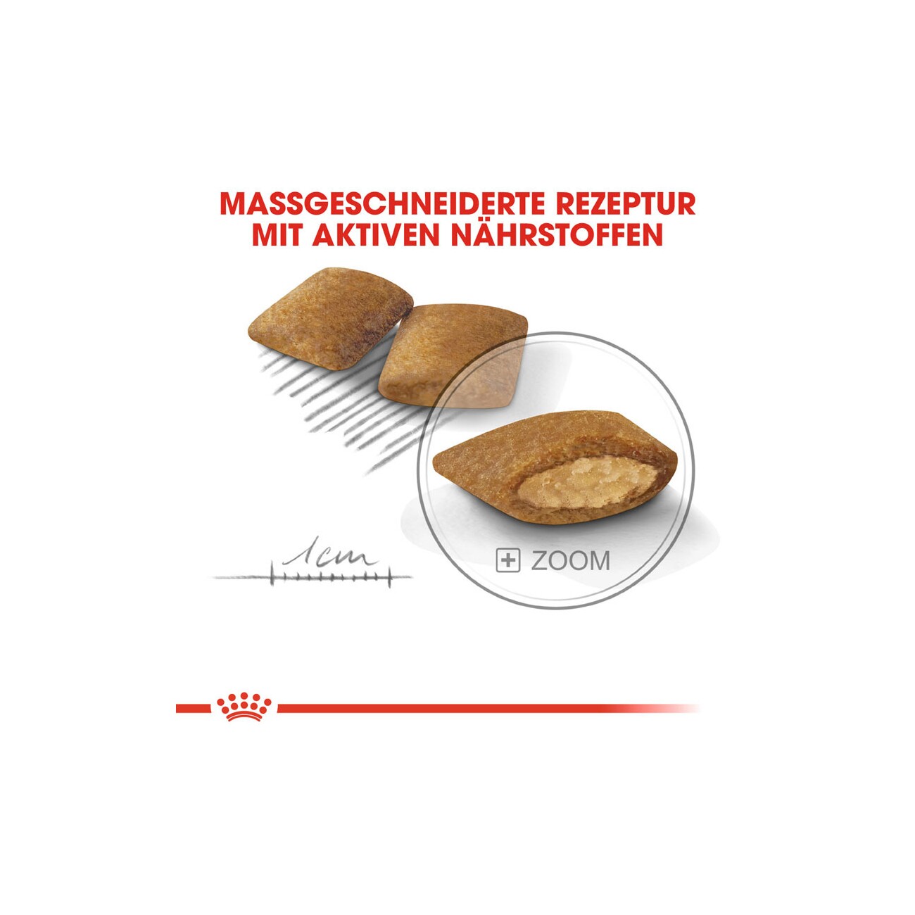 ROYAL CANIN Exigent Mini 1 kg