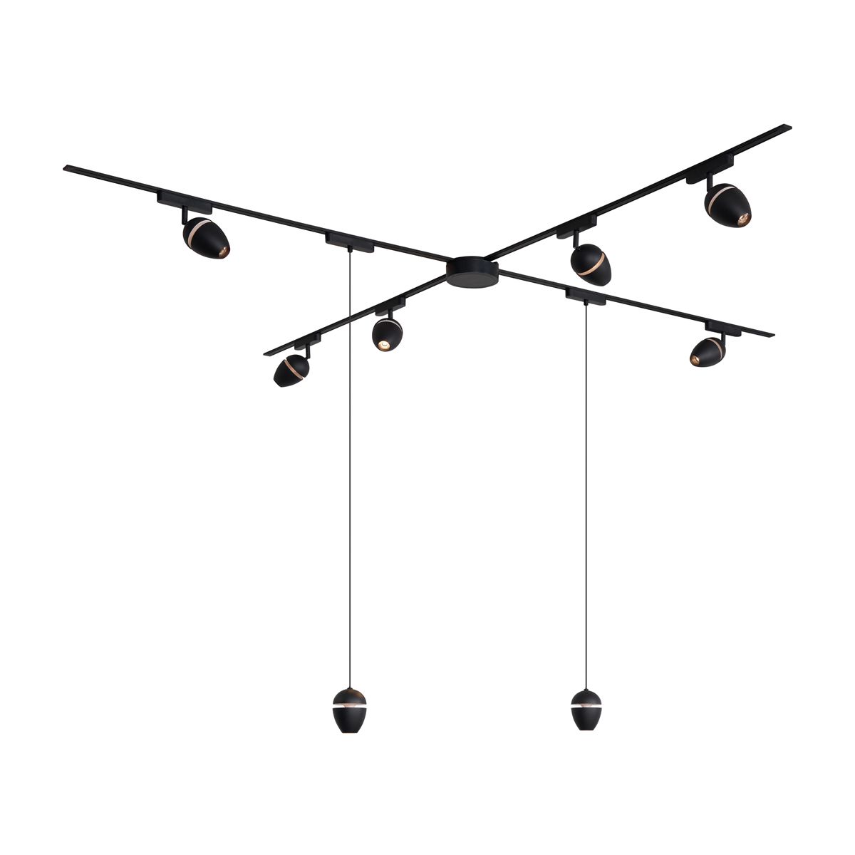 Railsysteem met 6 spots en 2 hanglampen zwart 1-fase - Magnetic Eggy