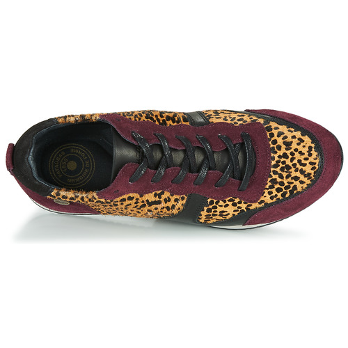 Pataugas - IDOL/I F4E - Bordeaux / Leopard