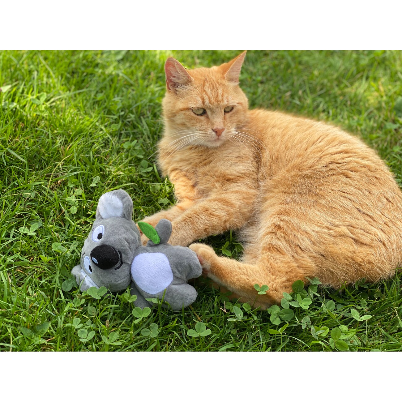 Aumüller Spielzeug Koala