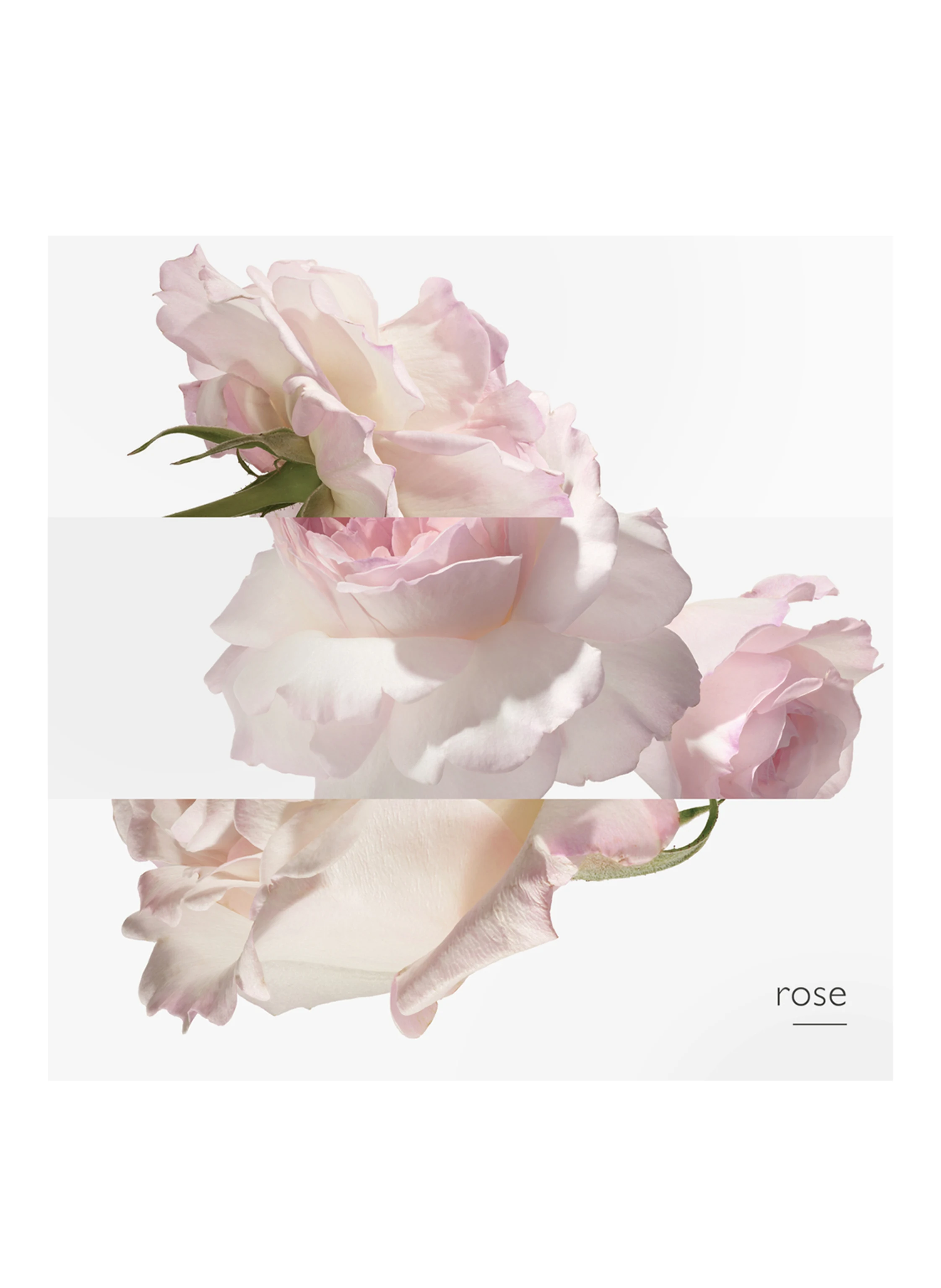 HERMÈS CONCENTRÉ DE PAMPLEMOUSSE ROSE