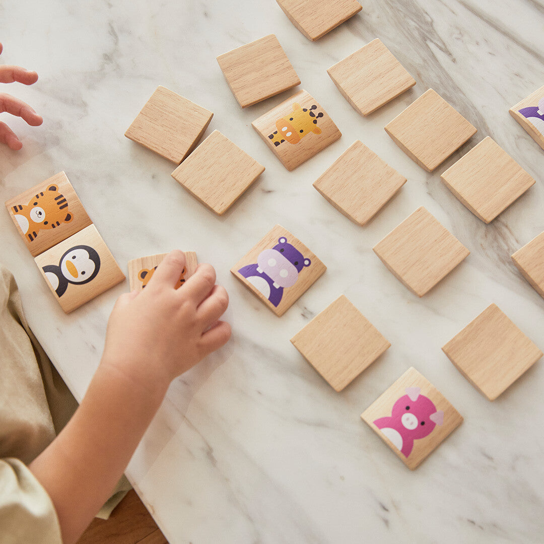 Plan toys memorie dieren