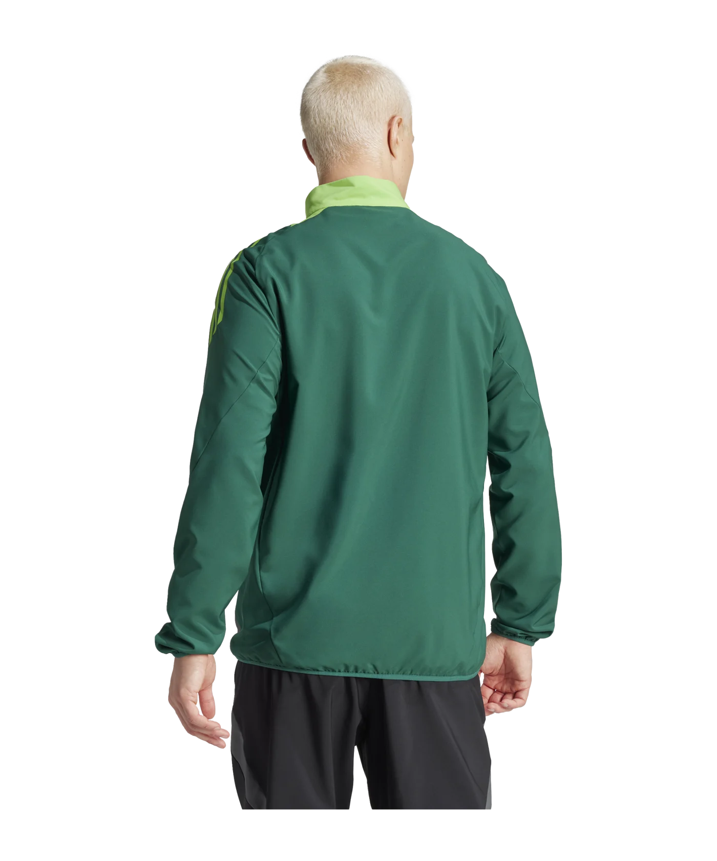 adidas Tiro 24 Competition Präsentationsjacke Grün