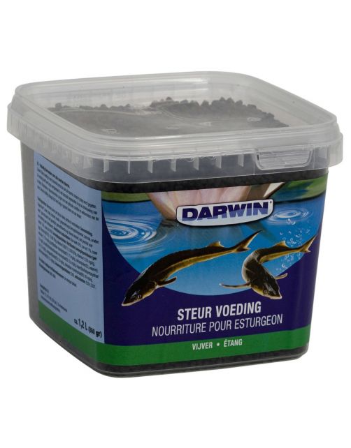 Darwin Steur Vijvervoeding - Vijvervoer