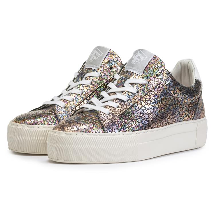 Floris van Bommel SFW-10059 multi