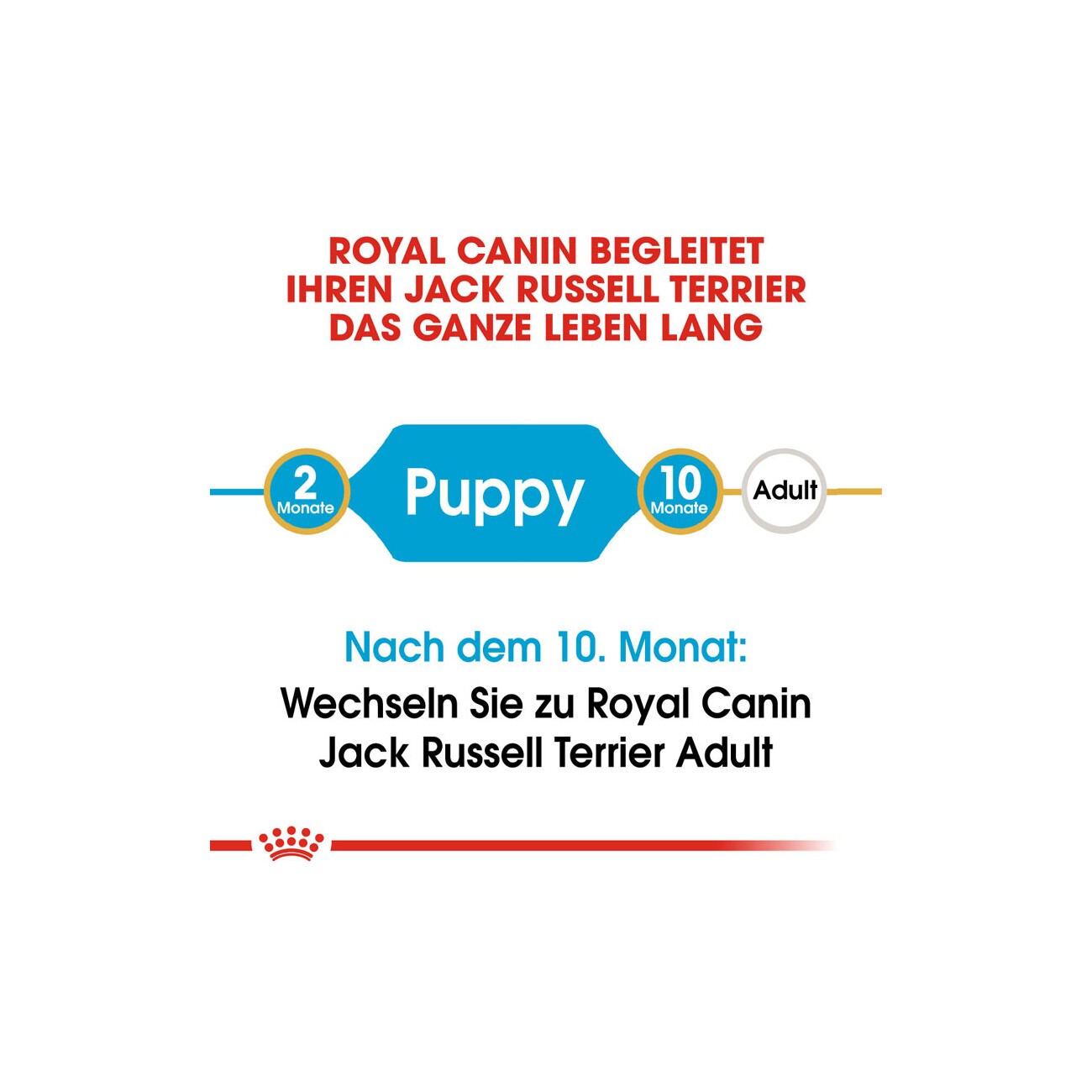 ROYAL CANIN Jack Russel Terrier Puppy 1,5 kg
