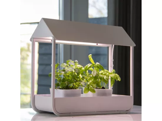 Serre avec lampe de croissance design