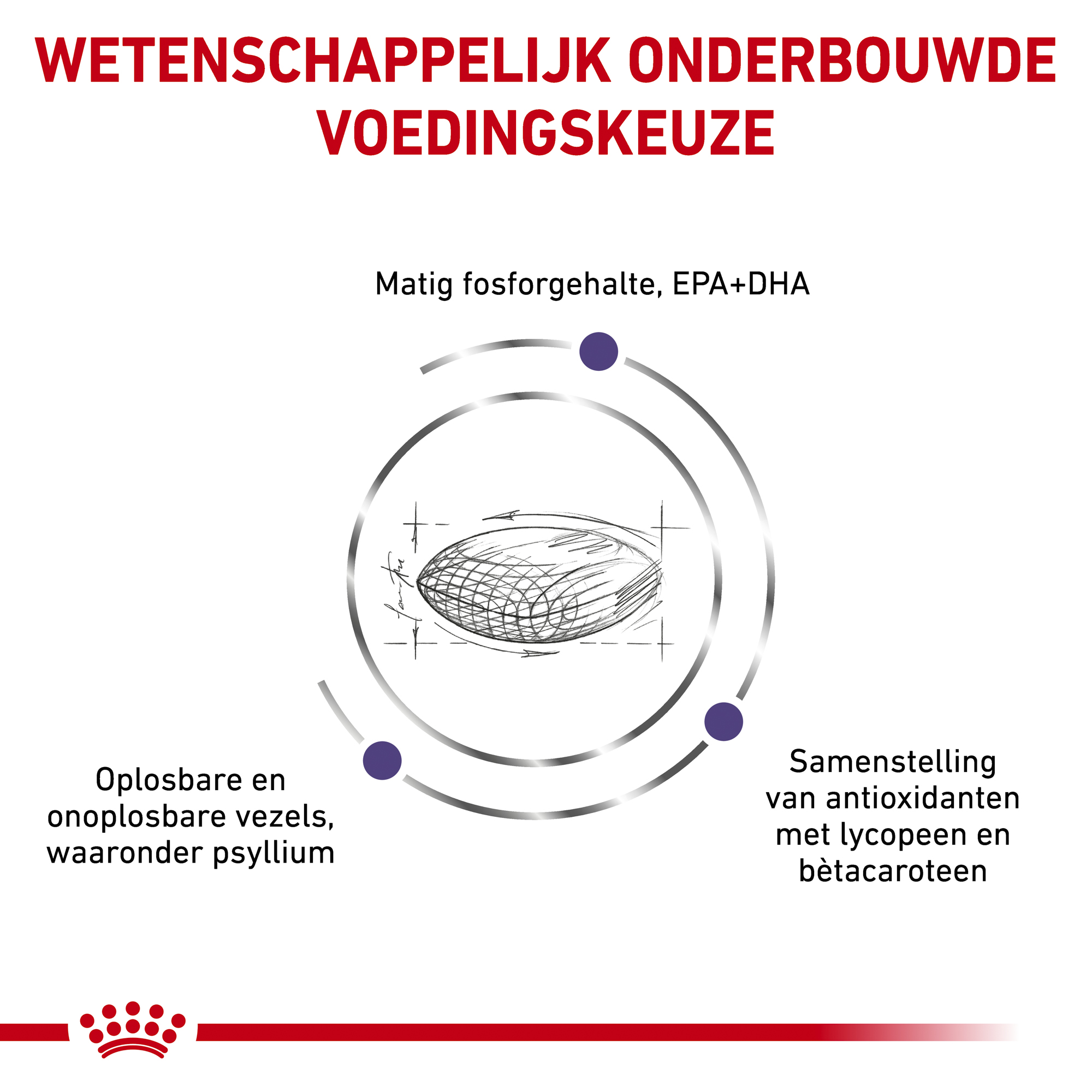 Royal Canin VCN - Mature Consult Balance - Cat