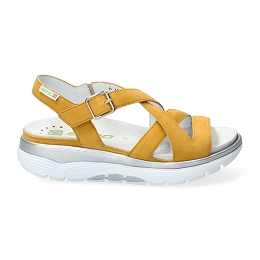 noane  BUCKSOFT 6947  OCHRE