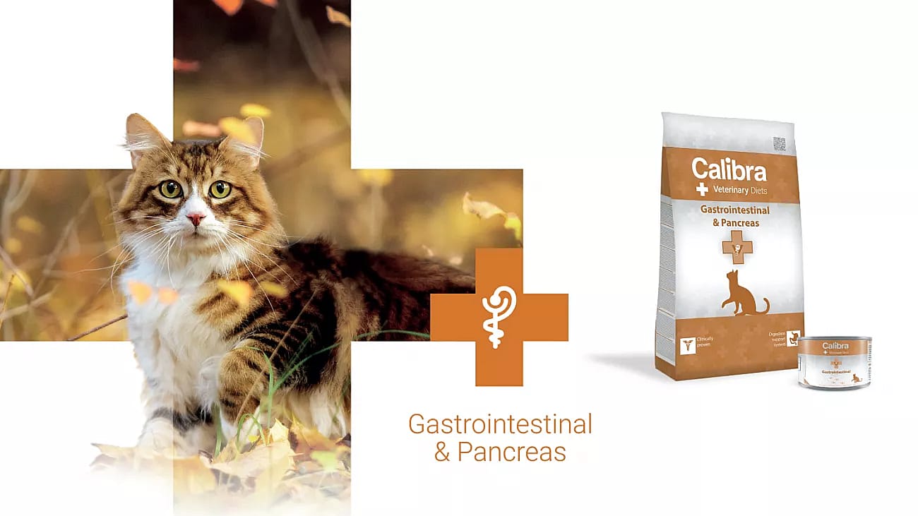 Calibra Cat Veterinary Diets Gastrointestinal and Pranceas 1.5 kg