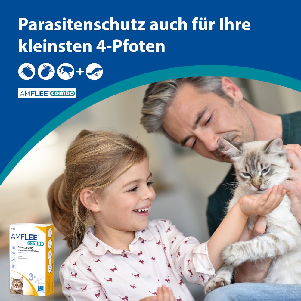 Amflee® combo 50 mg/60 ml für Katzen