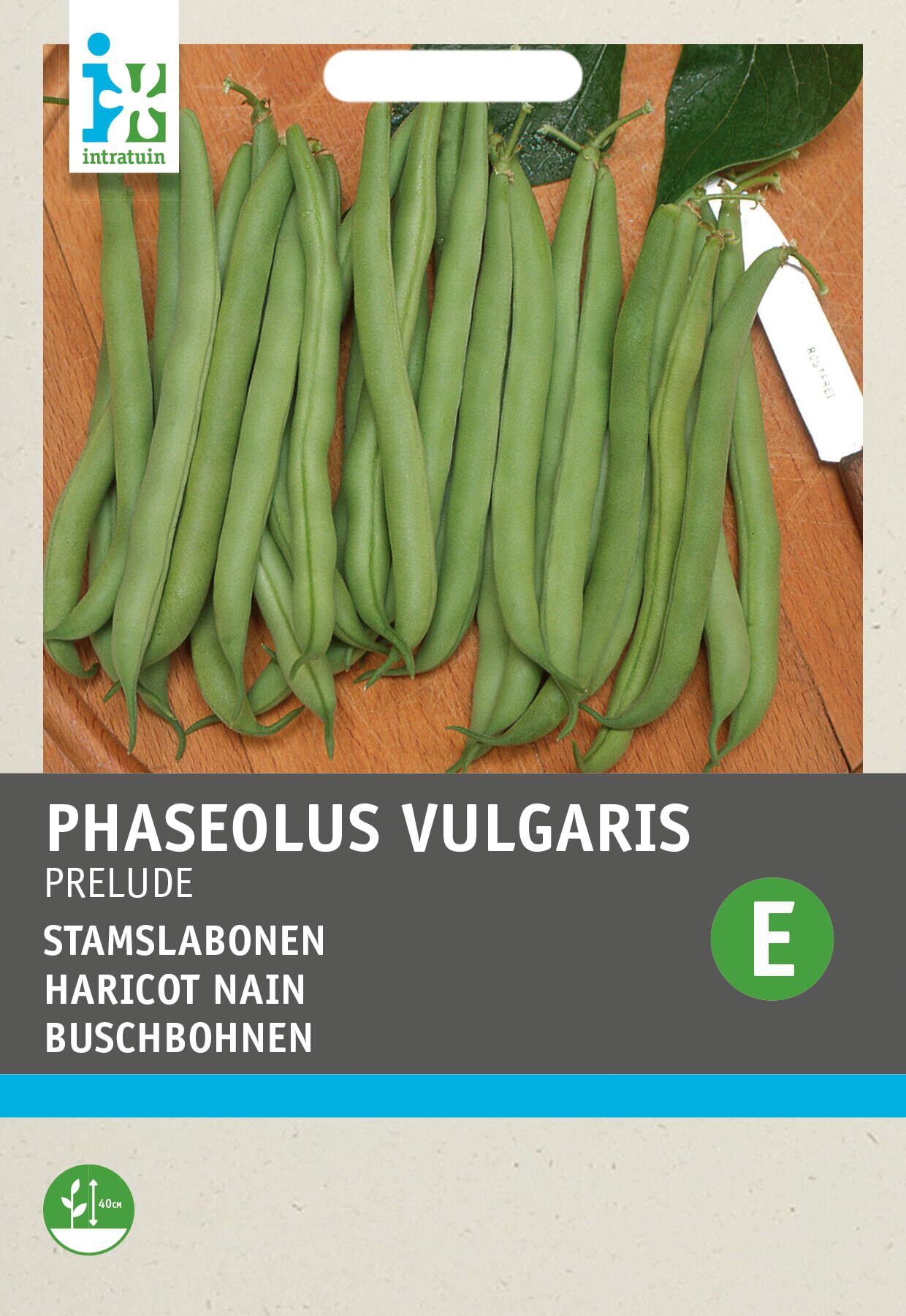 Intratuin groentezaad Stokslaboon (Phaseolus vulgaris 'Prelude')
