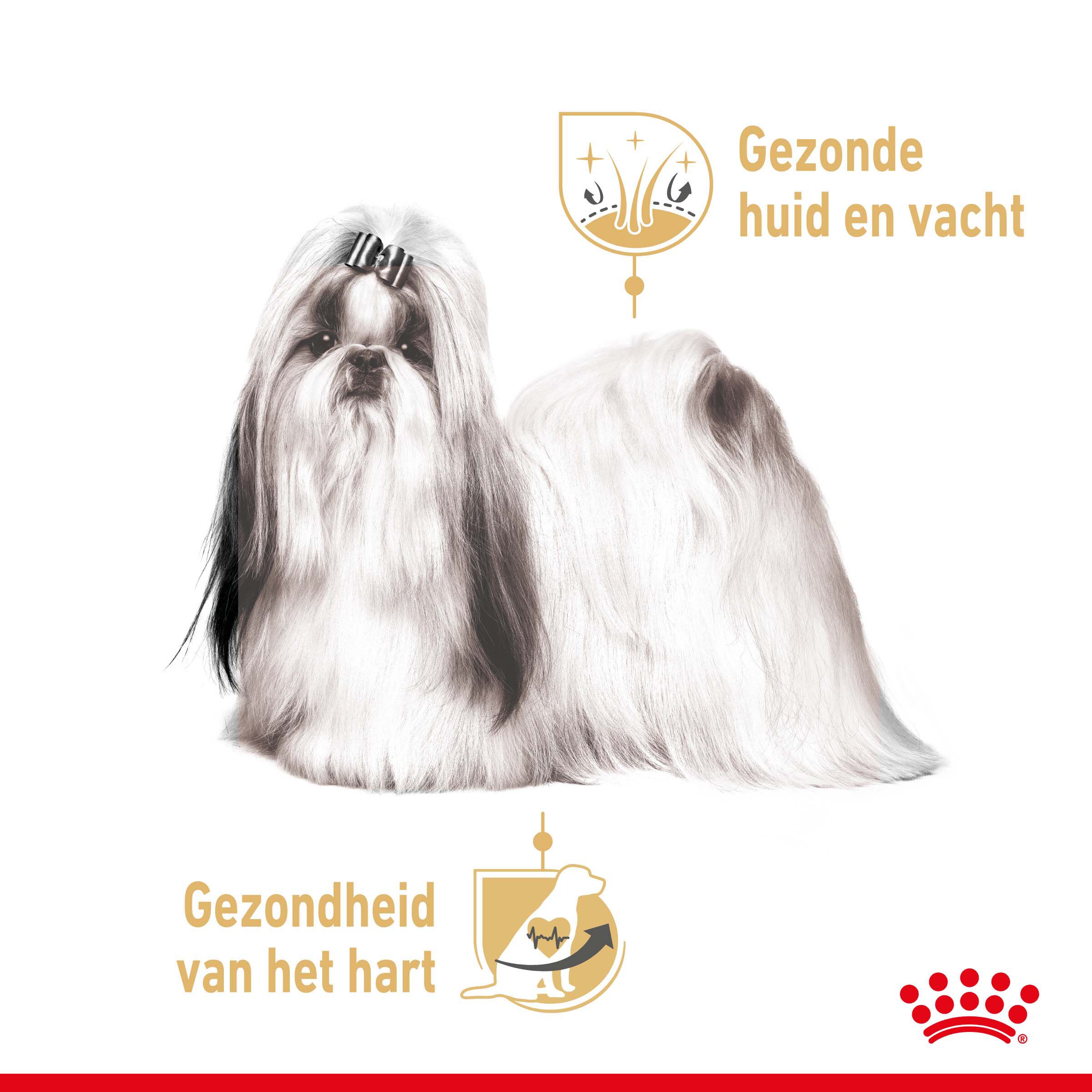 ROYAL CANIN® Adult Shih Tzu  Natvoer 12x85gr - Hondenvoer - 1020 Gram - gevogelte