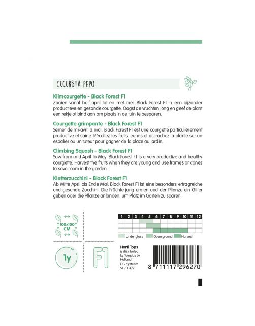 Hortitops Courgette Black Forest F1 (Klimmend) - Groentezaden - 8 stuks