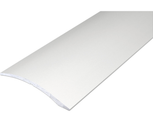 SKANDOR Verstelprofiel Aluminium Zilver Geanodiseerd 6x40x1000 mm