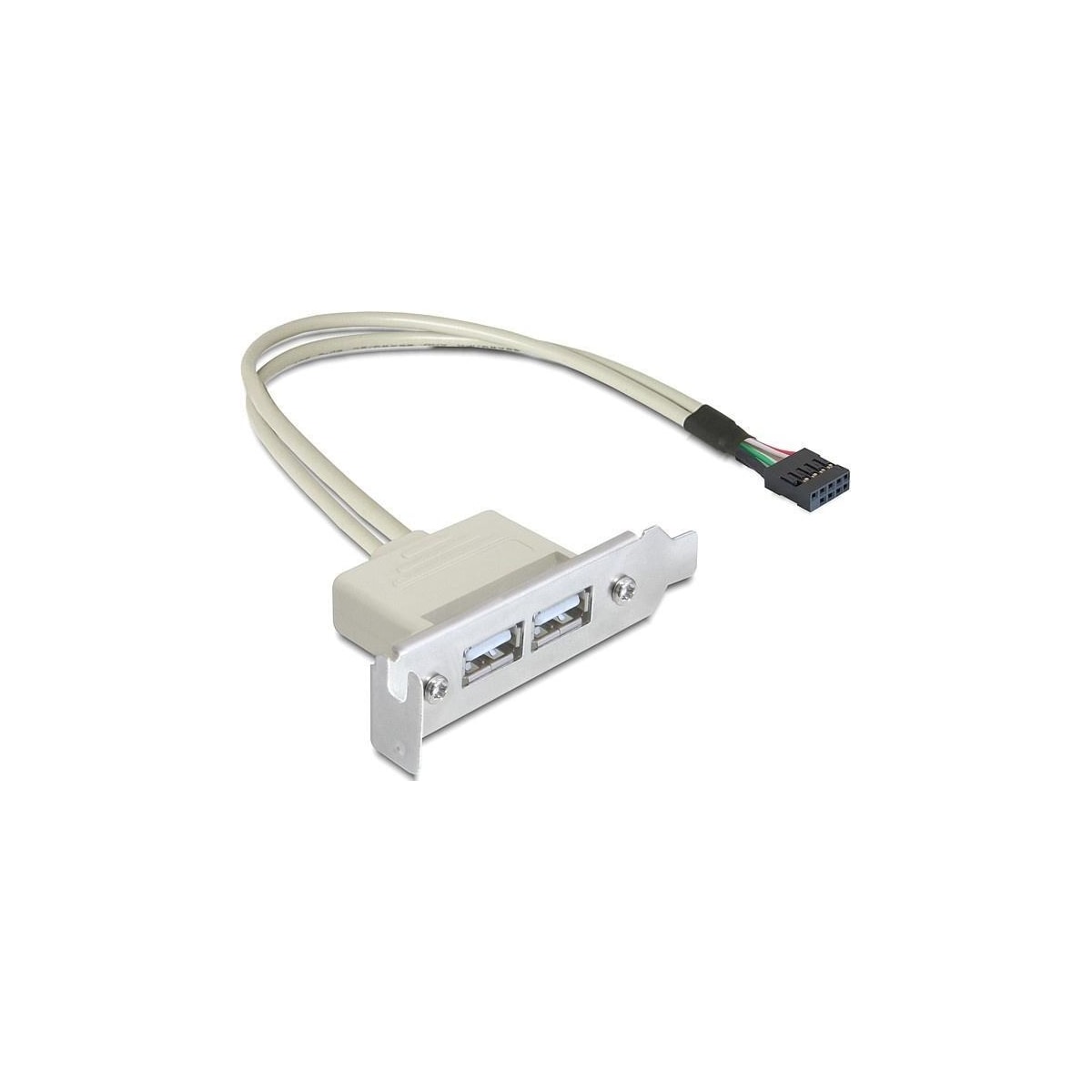 DeLOCK intern kabel for USB 2.0, IDC10 ha - 2xUSB 2.0 A ho, 0,5m