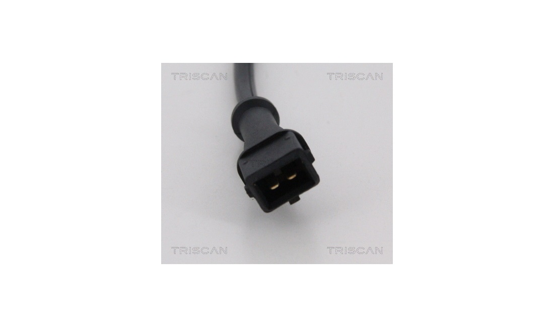 ABS sensor