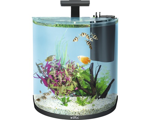 Tetra AquaArt Explorer Line 60L aquarium met verlichting, verwarming en filter (zonder kast), zwart