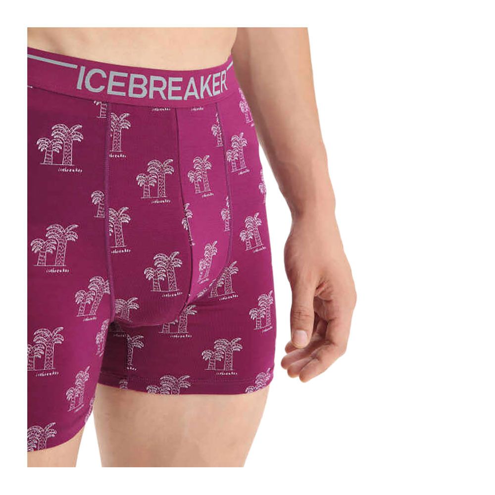 Icebreaker ANATOMICA - Boxer Homme go berry/aop