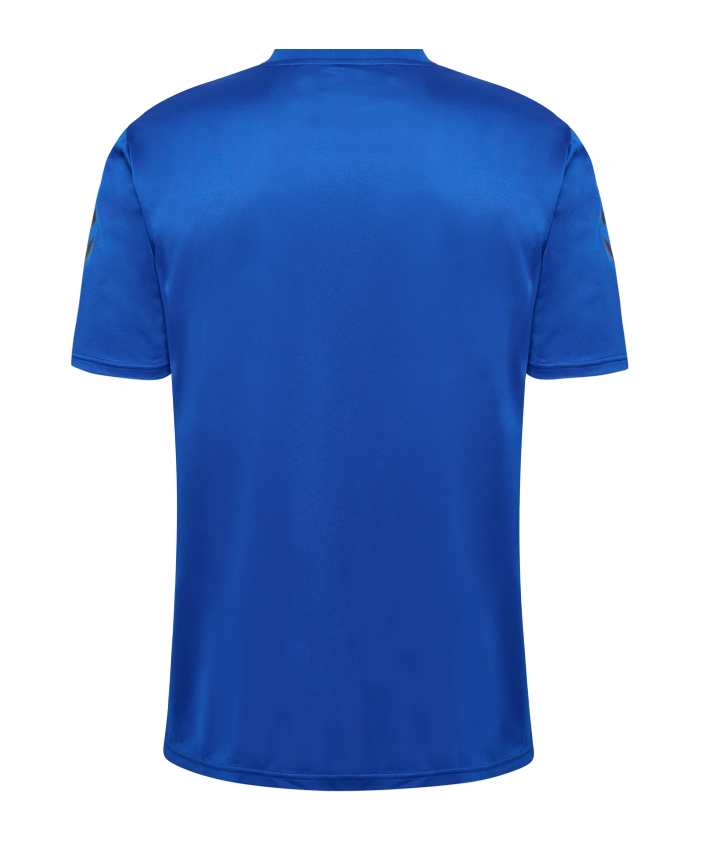 Hummel hmlACTIVE Trikot Blau F7251
