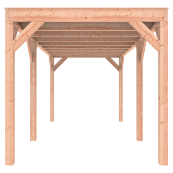 Overkapping Douglas 545x255cm a-symmetrisch
