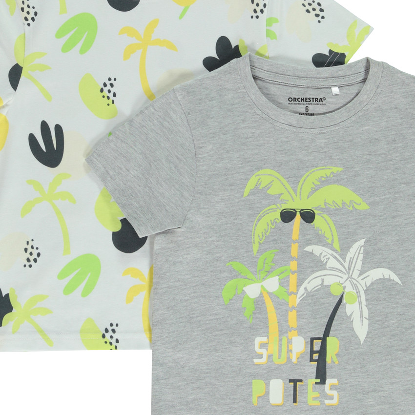 Lot de 2 t-shirts manches courtes motifs palmiers pour garçon